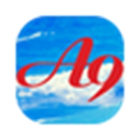 A9财务管理应用软件 v10.1