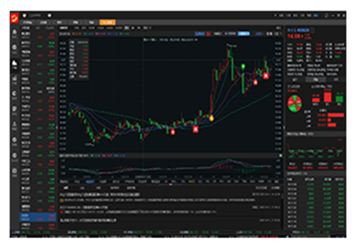 金斗云智投电脑版