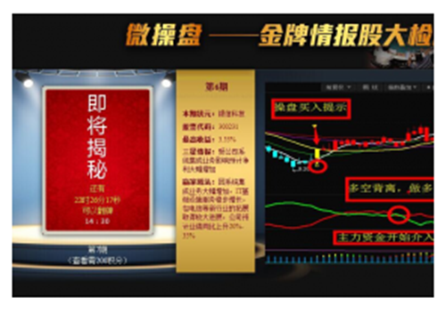 渤海财富终端