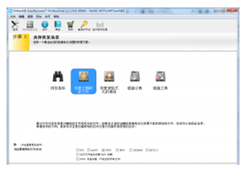 EasyRecovery Professional