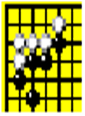 弈缘围棋 v1.81