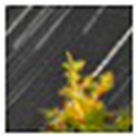 Startrails(星轨堆栈合成软件) v2.3