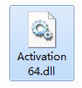 activation64.dll 