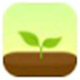 Forest插件版 v6.1.0