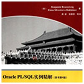 OraclePL/SQL实例精解(原书第4版) 罗森维格pdf扫描版