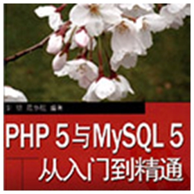 php5与mysql5从入门到精通 卫喆pdf扫描版