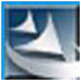 万语小Q v1.20