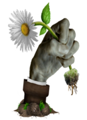 植物大战僵尸冰火版电脑版 免安装绿色版