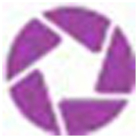 淘宝信息提取工具 v1.1免费版