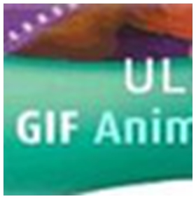 Ulead GIF Animator(U5) v5.11 汉化特别版