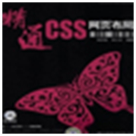 精通CSS网页布局pdf高清版 作者朱印宏