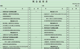 现金流量表模板 