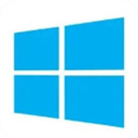 windows10神州网信政府版激活工具 v3.3.1.620