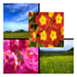 Youfeng Photocomposer 图像合成与排版 V1.2绿色版 