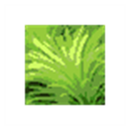 Dream Aquarium V1.0.0.0 