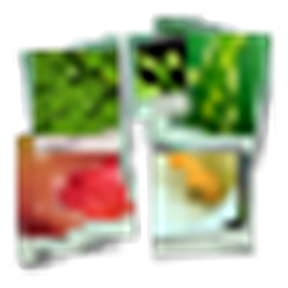 Fotowall 免费制作照片拼贴 V0.9 