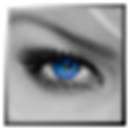 Artizen V2.9.0.7 
