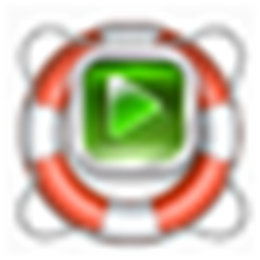 Digital MediaRescue Pro 恢复数码设备上数据资源 V6.13.0.1031 