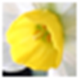 明朗单词通 英语单词学习 V4.24.0.3 