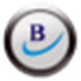百成电子印章系统 百成电子印章 V1.1.0.1 