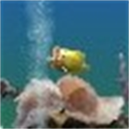 热带鱼水族箱屏幕保护3D V1.0.0.0 