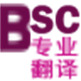 BSC专业翻译系统 V1.0.0.0 