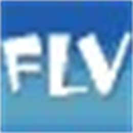 迷你FLV播放器 V2011 