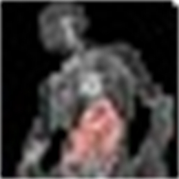 3dBody 三维人体解剖 V1.8 