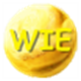 WIE浏览器 多窗体快速浏览器 V5.6.5.802 