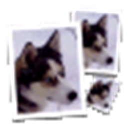 SmillaEnlarger 图片放大 V0.90免费版 
