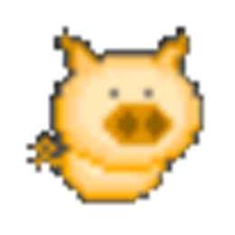 PPStream录像 V1.0绿色版 