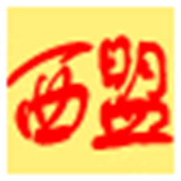 西盟批量TXT文件编码查看器 V1.0 