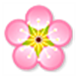 梅花英汉双语词典 V1.0.0.4 