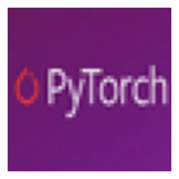 PyTorch PyTorch v1.8.1