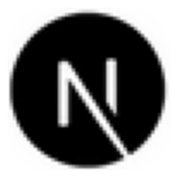 Next.js 轻量级应用框架 v10.0.7