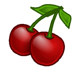 CherryTree 分层笔记 v0.99.24.0