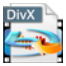 4Easysoft Blu ray to DivX Ripper 