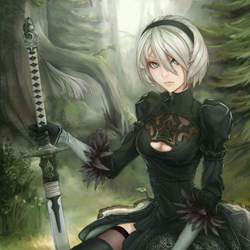 上古卷轴5尼尔纪元2b小姐姐绅士服装mod 最新免费版