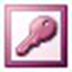 office Access 2003 sp3 中文绿色版