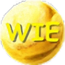 WIE浏览器 v5.6.5.802 免费版