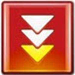 迷你快车(FlashGet Mini) v1.4.1.1335 官方正式版