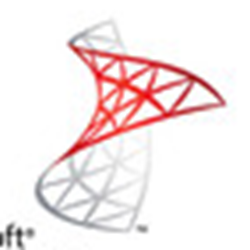 microsoft sql server 2000 标准版 简体中文版