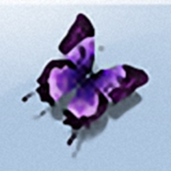 蝴蝶浏览器 v1.4.7 正式版