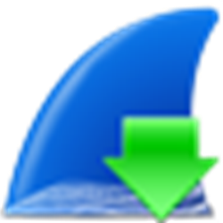 wireshark 64位网络分析器 v4.0.1 中文免费版