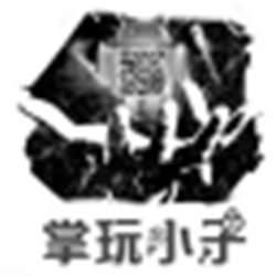 掌玩小子vip视频解析器 v1.0.0 绿色版