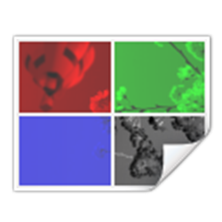 DNG图像转换工具(DNG Converter) v1.0 绿色免费版