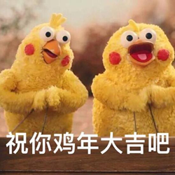 日本鹦鹉兄弟qq表情包 高清完整版