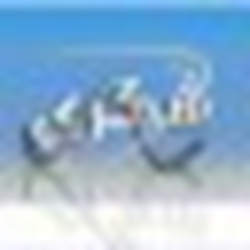 Copy USB Data(u盘自动拷贝数据) v1.1 绿色免费版