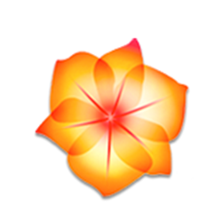 Adobe Illustrator CS2(aics2) v12 简体中文版