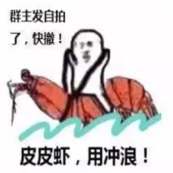 皮皮虾我们走表情包 无水印完整版